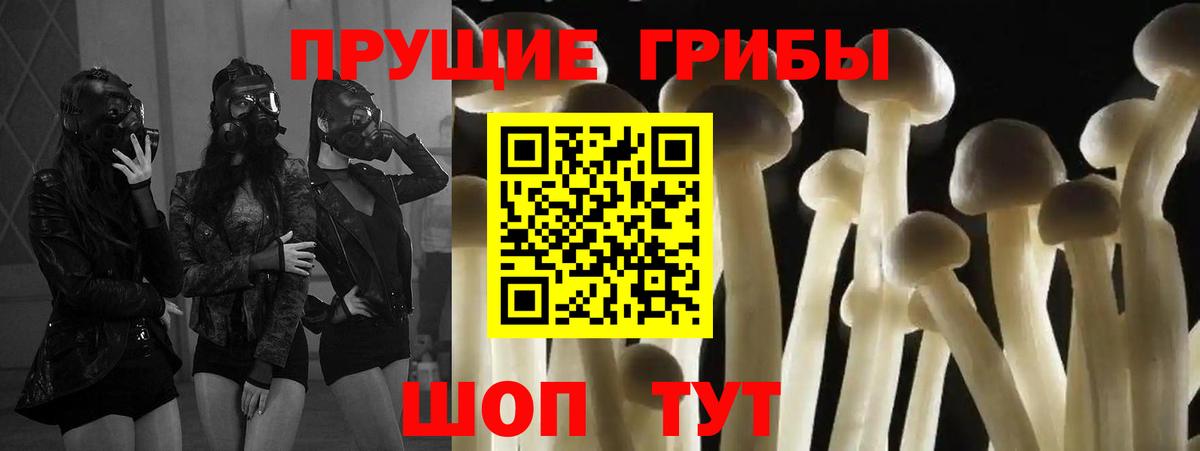Псилоцибиновые грибы мухоморы Похвистнево